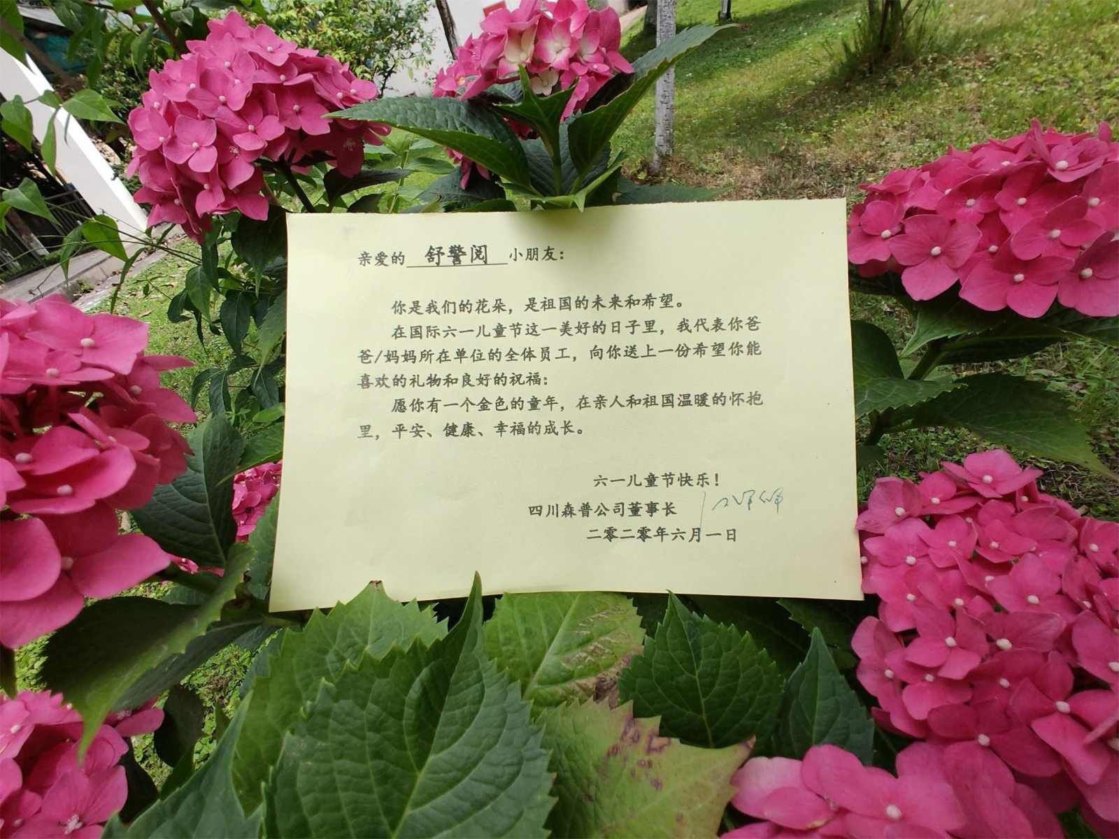 1591069105168899ERGO.jpg 微信圖片_20200602111512-1.jpg